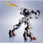 metal_robot_tamashii_4573102698681