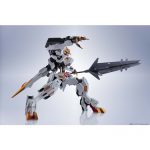 metal_robot_tamashii_4573102698681