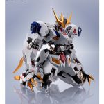 metal_robot_tamashii_4573102698681