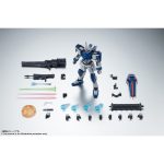 robot-tamashii_4573102639912