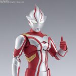 shfiguarts_4573102651419