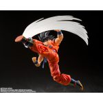 shfiguarts_4573102650405