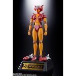 chogokintamashii_4573102651297