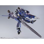 dx_chogokintamashii_4573102651242