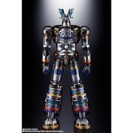 dx_chogokintamashii_4573102654717