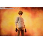 shfiguarts_4573102653659