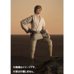 shfiguarts_4573102660497