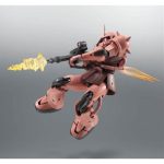 robot-tamashii_4573102675705