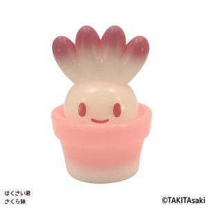 tkt_hakusai-kun_sakurabachi