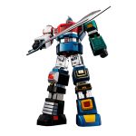 chogokintamashii_4573102687876