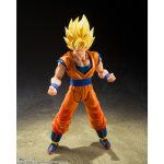 shfiguarts_4573102676122