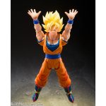 shfiguarts_4573102676122