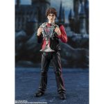 shfiguarts_4573102686268