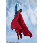 shfiguarts_4573102692856