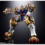 chogokintamashii_4573102673879