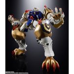 chogokintamashii_4573102673879