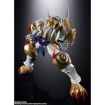 chogokintamashii_4573102673879