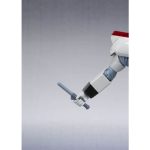 robot_tamashii_4573102693464