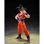 shfiguarts_4573102697837
