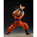 shfiguarts_4573102697837