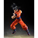 shfiguarts_4573102697837