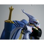 robot_tamashii_4573102693440