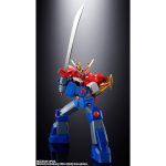 chogokintamashii_4573102735997