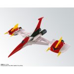 chogokintamashii_4573102739612